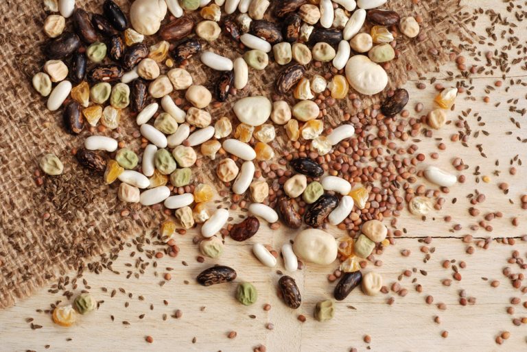 How to Store Seeds and Prevent Them from Damage